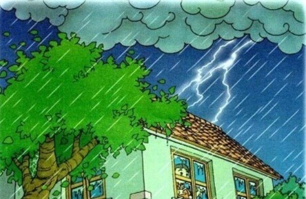 遇到雷电莫要树下避雨