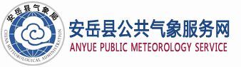 安岳logo
