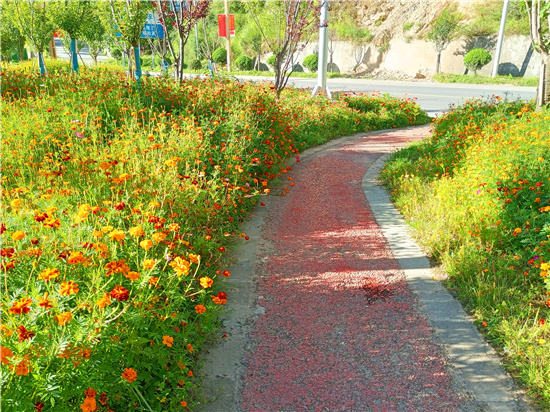 来马尔康走花路