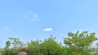 内江东兴高温预警和预警信号双升级 内江东兴高温预警和预警信号双升级